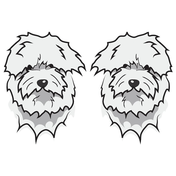 Coton De Tulear Dog Decal, Dog Lover Decor Vinyl Sticker